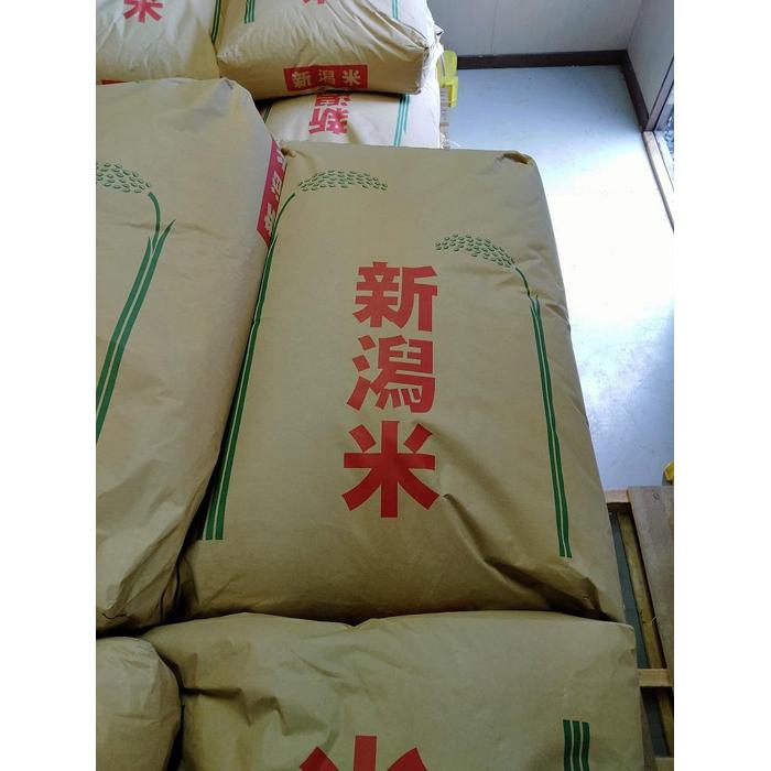 [玄米]令和5年産佐渡産 越のかおり30kg 特別栽培低温工法米 | お米 こめ 食品 人気 おすすめ 送料無料