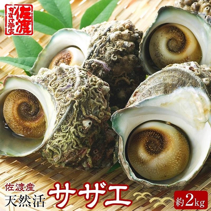 【ふるさと納税】佐渡産　天然活サザエ　2kg | 魚介類 ...