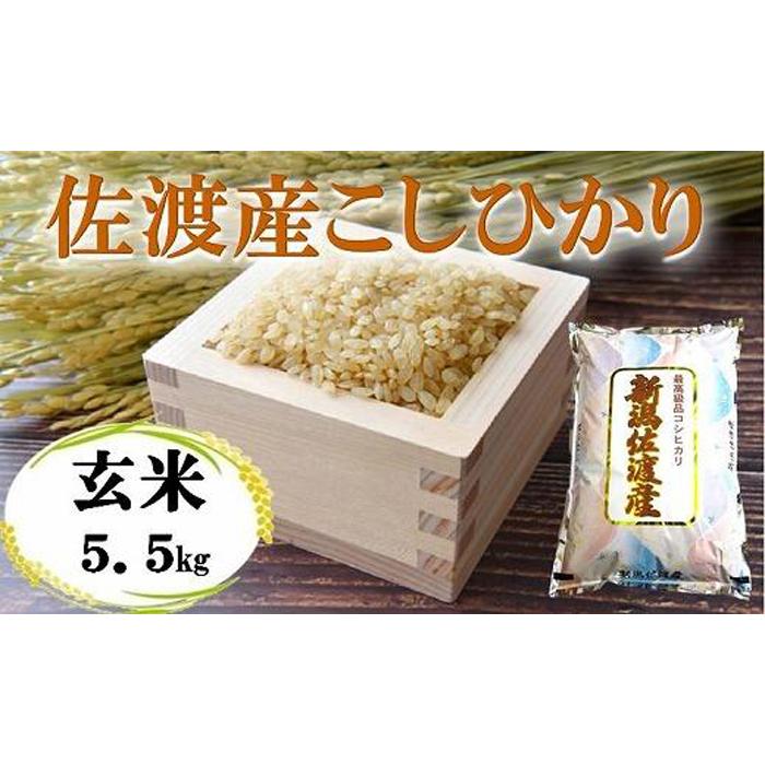 【ふるさと納税】佐渡産こしひかり 玄米 5.5kg | お米