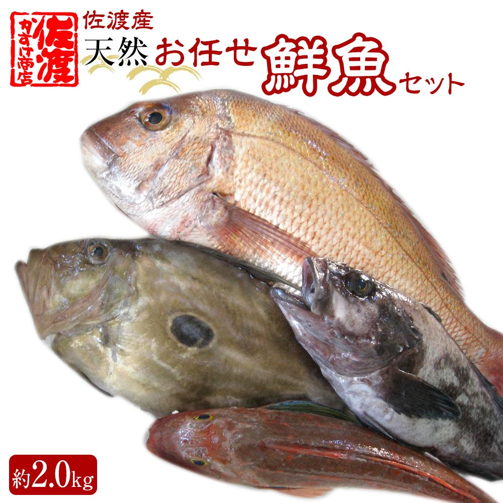 【ふるさと納税】佐渡産 天然お任せ鮮魚セット 2kg | 魚