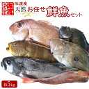 【ふるさと納税】佐渡産 天然お任せ鮮魚セット 5kg | 魚