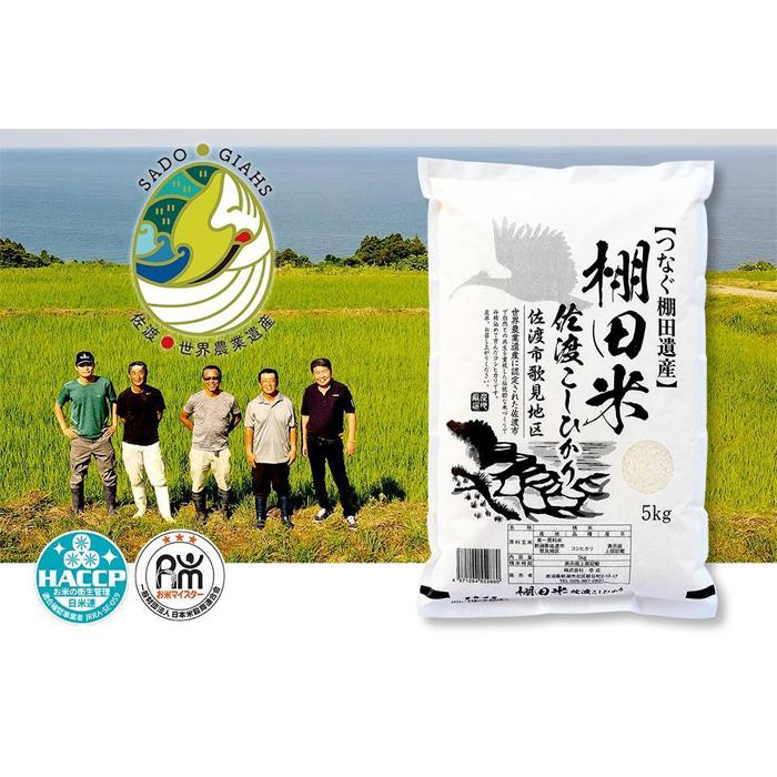 棚田米 佐渡こしひかり 佐渡市歌見地区 精米 5kg | 米 こめ コメ 精米 ご飯 ごはん 新潟 佐渡市