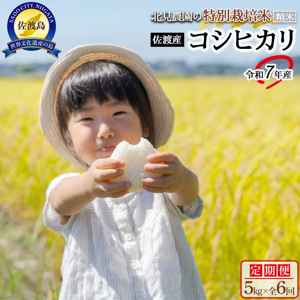 楽天市場】佐渡 コシヒカリ 30kgの通販 楽天市場】佐渡 コシヒカリ 30kgの通販