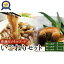 【ふるさと納税】海藻 いごねり セット 佐渡島 3種 | 魚介類 水産 食品 人気 おすすめ 送料無料 10,000円