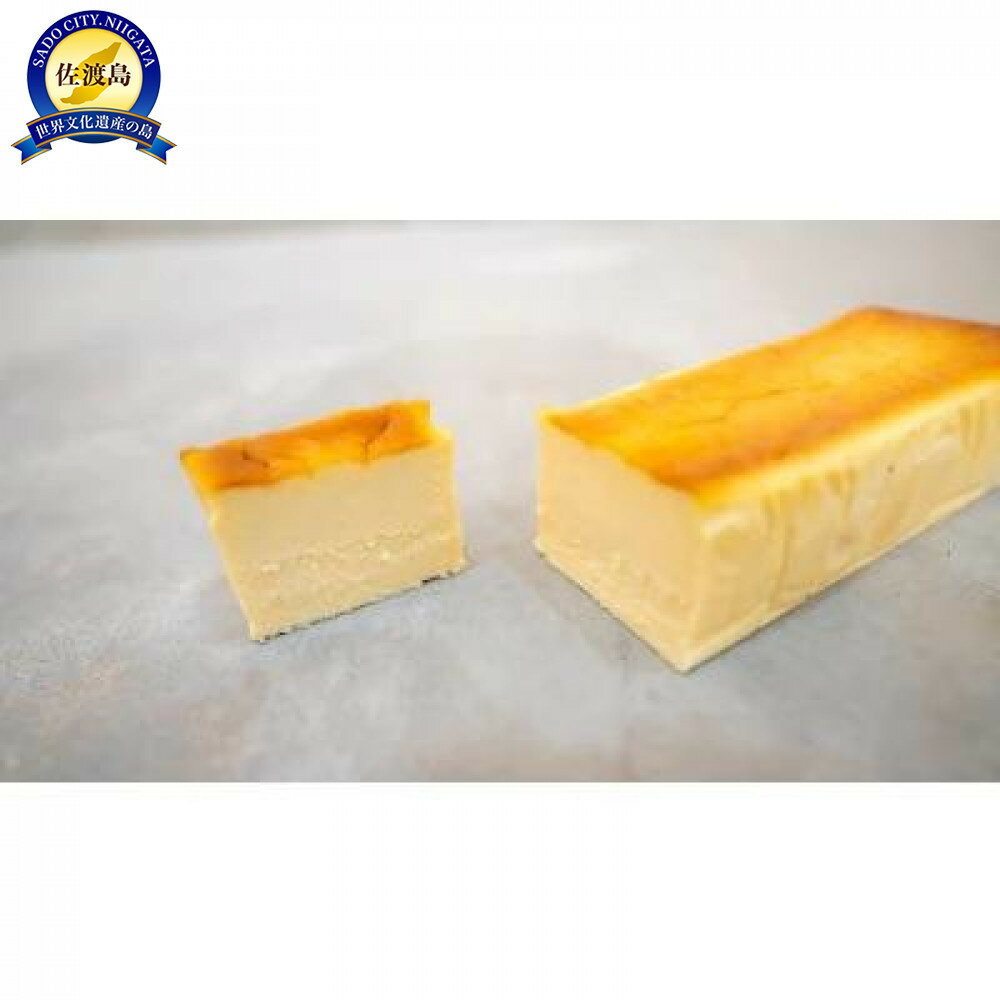 【ふるさと納税】ma_maのチーズケーキ