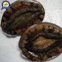 【ふるさと納税】日本海 佐渡産 荒海育ち天然活あわび2枚(200g見当) | 魚介類 水産 食品 人気 おすすめ 送料無料