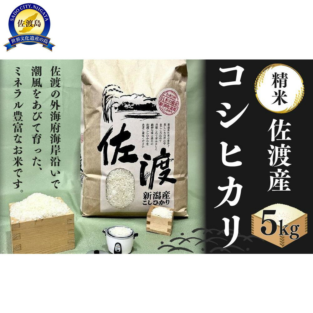 【ふるさと納税】佐渡発酵 佐渡産コシヒカリ精米5kg 【令和7年米】