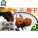 【ふるさと納税】昔ながらの塩っぱい梅干 5パック