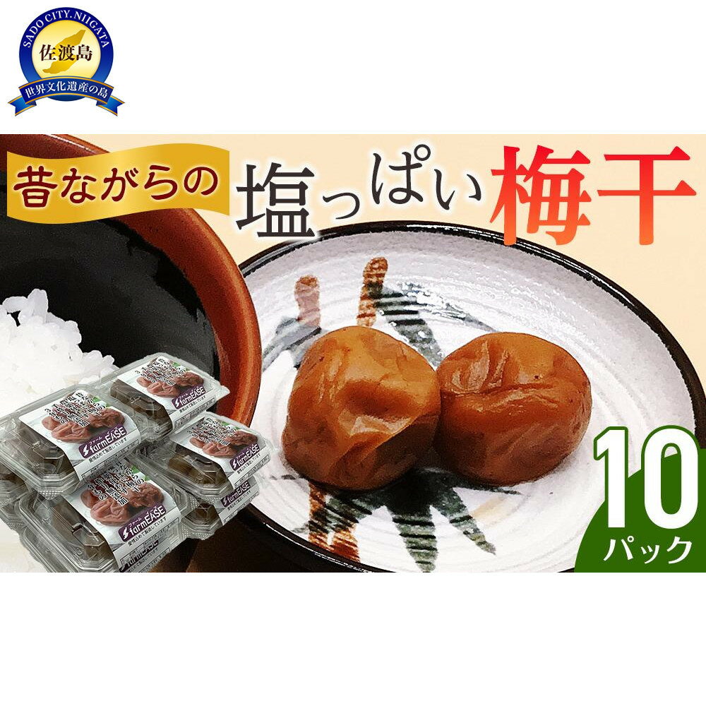 【ふるさと納税】昔ながらの塩っぱい梅干 10パック