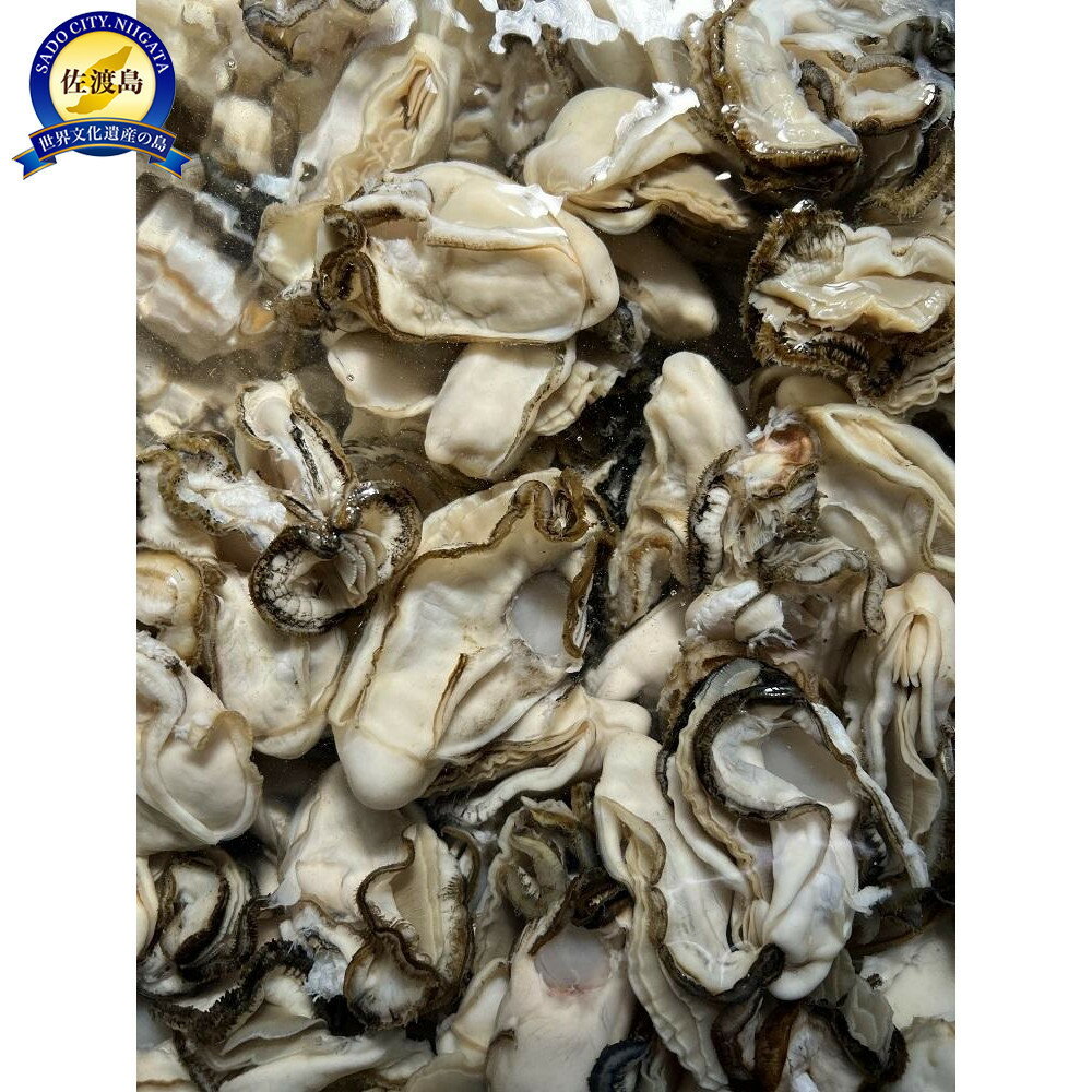 【ふるさと納税】【佐渡加茂湖産】牡蠣むき身300g×2袋 | カキ 魚介類 水産 食品 人気 おすすめ 送料無料のサムネイル