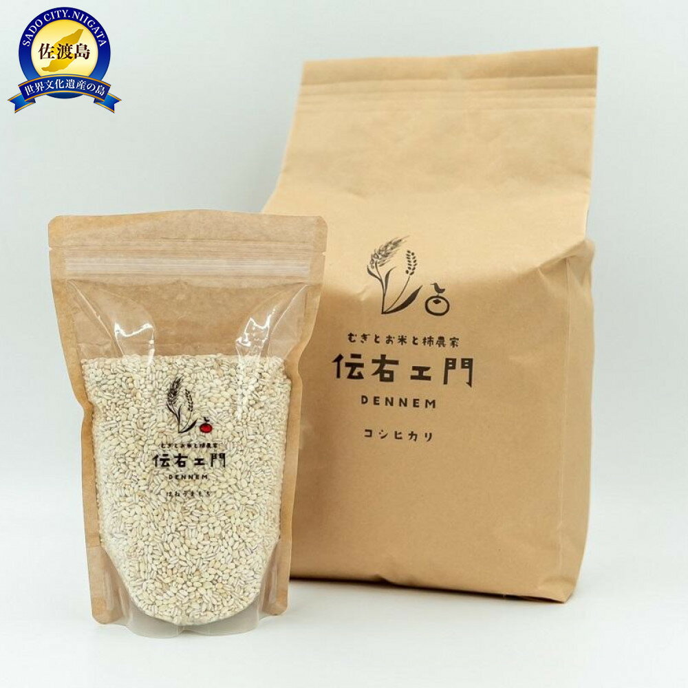 【ふるさと納税】健康な笑顔 はねうまもち500gと伝右ェ門コシヒカリ5kg | お米 こめ 白米 穀物 穀類 食品 人気 おすすめ 送料無料