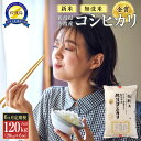 【ふるさと納税】【新米・先行予約】無洗米20kg 新潟県佐渡産コシヒカリ20kg(5kg×4)×6回「6カ月定期便」 | お米 こめ 白米 食品 人気 おすすめ 送料無料