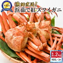 【ふるさと納税】佐渡島直送!浜茹で紅ズワイガニ(1杯400g/3杯) | 蟹 魚介類 水産 食品 人気 おすすめ 送料無料