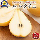 【ふるさと納税】先行予約 梨 ル・レクチエ 2kg ( 5~6個 ) 贈答用 | フルーツ 果物 くだもの 食品 人気 おすすめ 送料無料