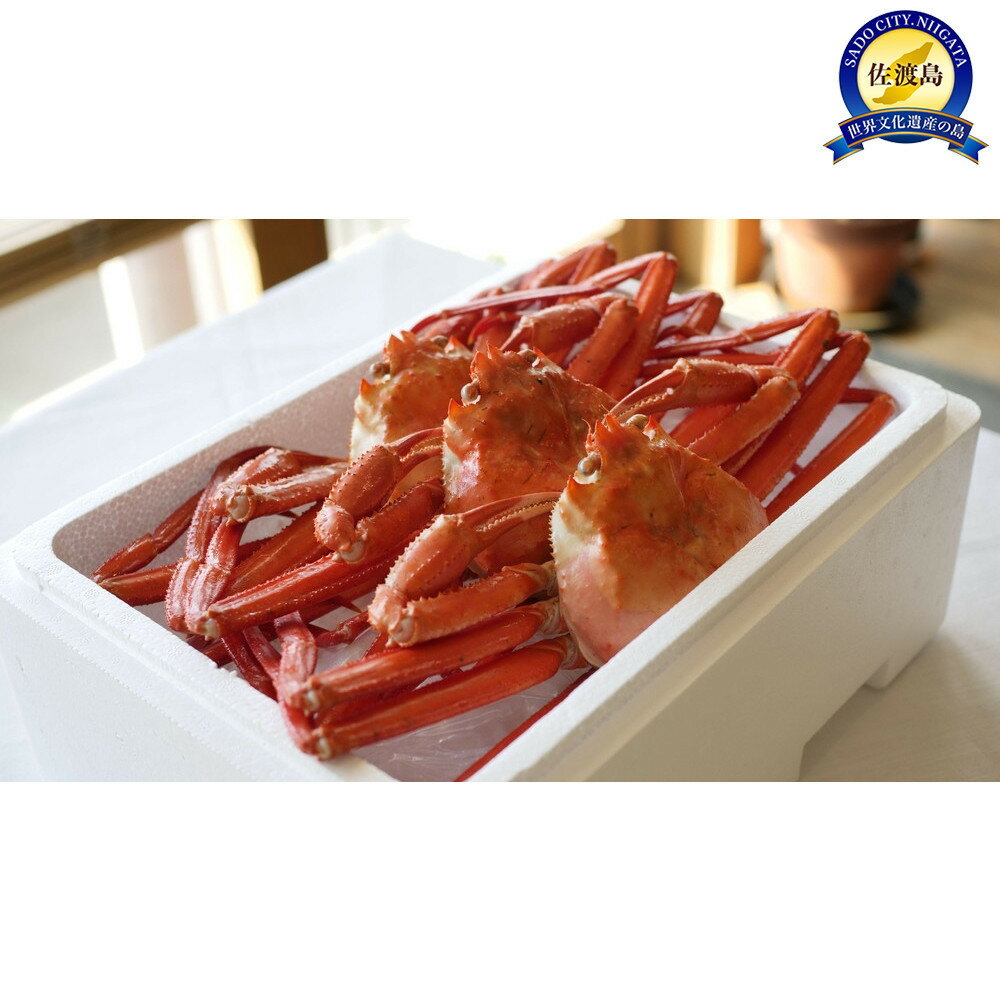 【ふるさと納税】【2025年9月先行受付】『冷凍』佐渡島直送！浜茹で紅ズワイガニ（1杯400g/3杯）ふるさと納税 | 蟹 魚介類 水産 食品 人気 おすすめ 送料無料のサムネイル