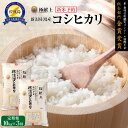 【ふるさと納税】【新米・先行予約】10kg 新潟県佐渡産コシヒカリ10kg(5kg×2)×3回「3カ月定期便」 | お米 こめ 白米 食品 人気 おすすめ 送料無料