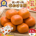 【ふるさと納税】【先行予約】高級おけさ柿赤秀2L(8玉)<まるはおけさがき> | フルーツ 果物 くだもの 食品 人気 おすすめ 送料無料