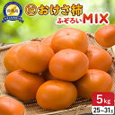 【ふるさと納税】【先行予約】ふぞろいmixおけさ柿 約5kg(25~31個)(家庭用) | フルーツ 果物 くだもの 食品 人気 おすすめ 送料無料