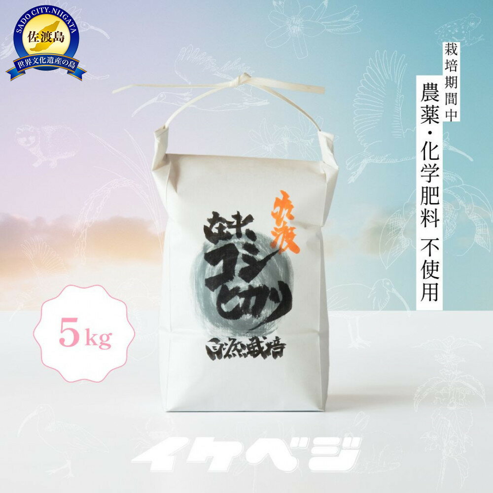 【ふるさと納税】新潟県佐渡産 令和7年産 【在来コシヒカリ】 玄米 5kg | お米 こめ 食品 人気 おすすめ 送料無料