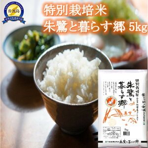 【ふるさと納税】米 コシヒカリ 佐渡産 ( 5kg/10kg/定期便 ) 朱鷺と暮らす郷 | お米 こめ 白米 食品 人気 おすすめ 送料無料 お楽しみ コメ 精米 ご飯 ごはん 新潟 佐渡市