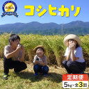 【ふるさと納税】米 定期便 佐渡島産 コシヒカリ ( 5kg × 全3回 ) 【令和7年産】令和7年10月上旬以降順次発送予定 | お米 こめ 白米 食品 人気 おすすめ 送料無料