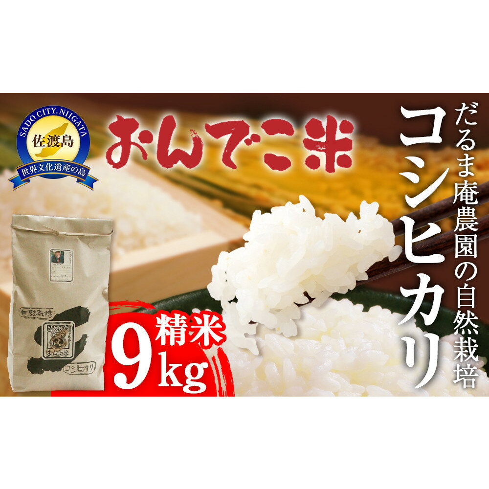 【ふるさと納税】【令和7年産】だるま庵農園の自然栽培コシヒカリ精米9キロ【2025年10月中旬より順次発送】 | お米 こめ 白米 食品 人気 おすすめ 送料無...