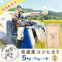 【ふるさと納税】【新米予約】佐渡島産コシヒカリ 玄米5kg 特別栽培米 農家直送 | お米 こめ 白米 食品 人気 おすすめ 送料無料