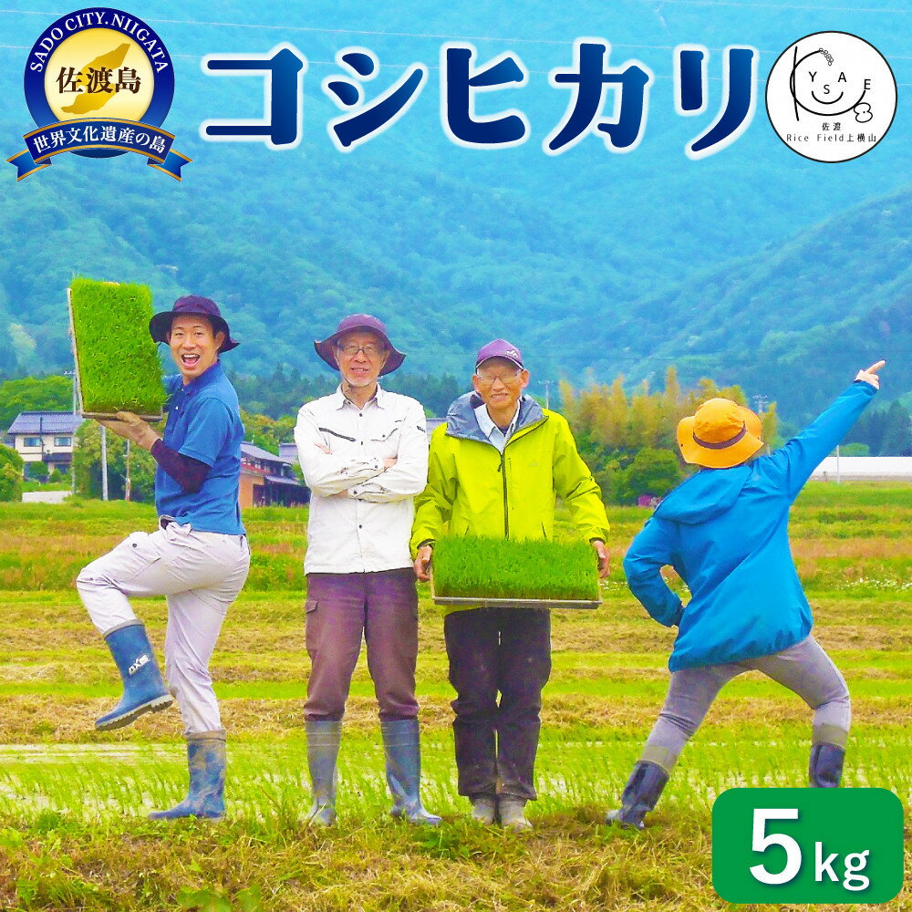 【ふるさと納税】佐渡Rice Field上横山の光【コシヒカリ】令和7年度産 5kg | お米 こめ 白米 食品 人気 おすすめ 送料無料