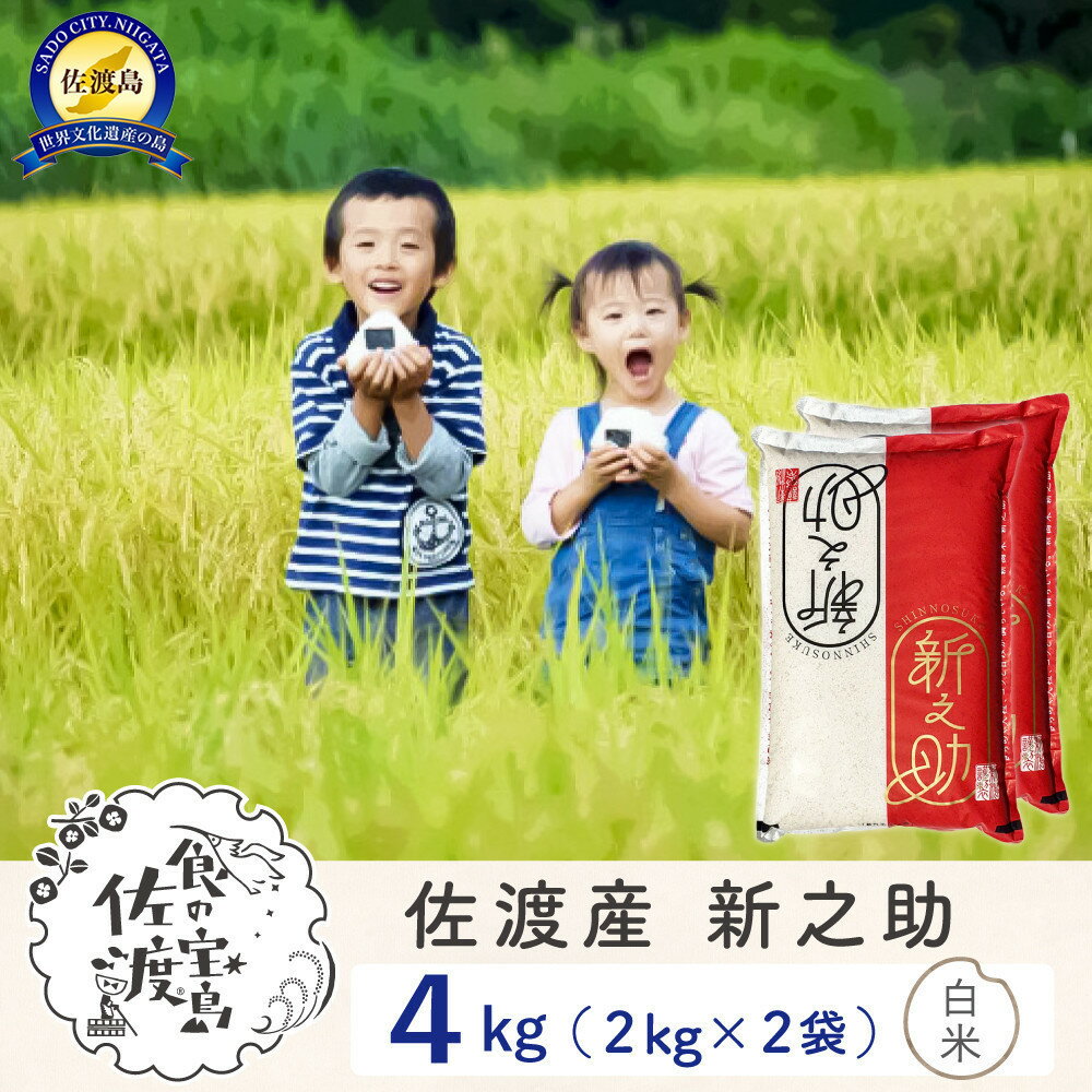 【ふるさと納税】【新米予約】佐渡島産 新之助 白米4kg(2Kg×2袋)