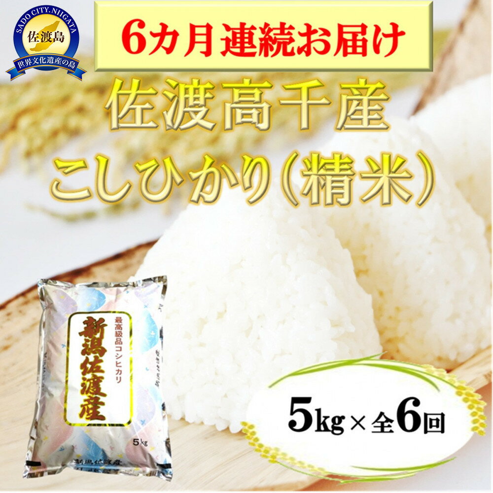 【ふるさと納税】【定期便】佐渡産高千産こしひかり 精米5kg【6ヶ月連続お届け】 | お米 こめ 食品 人気 おすすめ 送料無料
