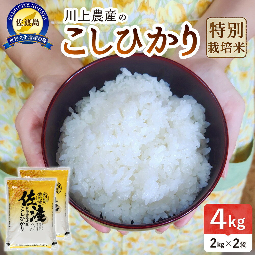 【ふるさと納税】令和7年産 佐渡 川上農産のコシヒカリ (2kg×2) | お米 こめ 白米 食品 人気 おすすめ