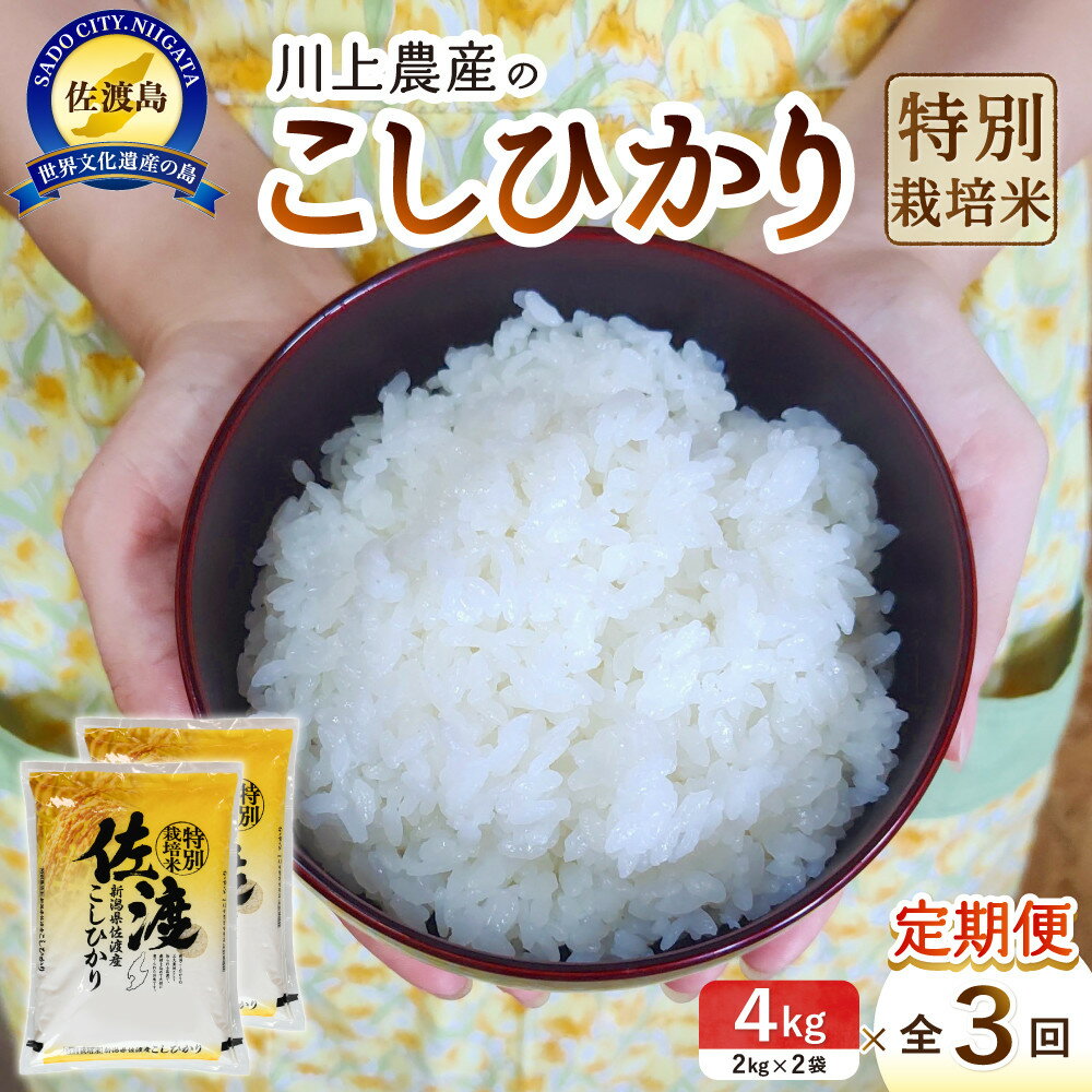 【ふるさと納税】令和7年産 佐渡 川上農産のコシヒカリ 定期便(2kg×2×全3回) | お米 こめ 白米 食品 人気 おすすめ