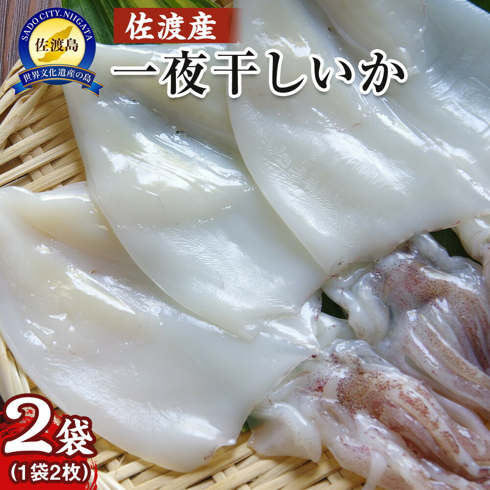 干物 イカ 佐渡産 4枚 ( 1袋2枚 × 2 ) 一夜干しいか | 魚 お魚 さかな 食品 人気 おすすめ 送料無料