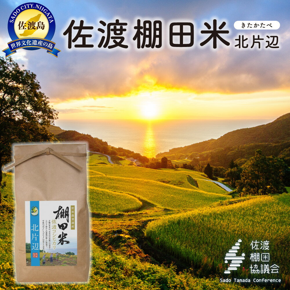 ڤդ뤵Ǽǡۺ绺ҥ ê 4Kg2Kg2ޡˡ7ǯۡ |     ͵  ̵ 仺