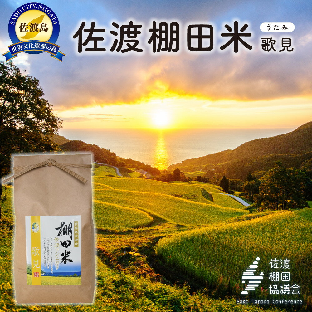 ڤդ뤵Ǽǡۺ绺ҥ θê 4Kg2Kg2ޡˡ7ǯ |     ͵  ̵