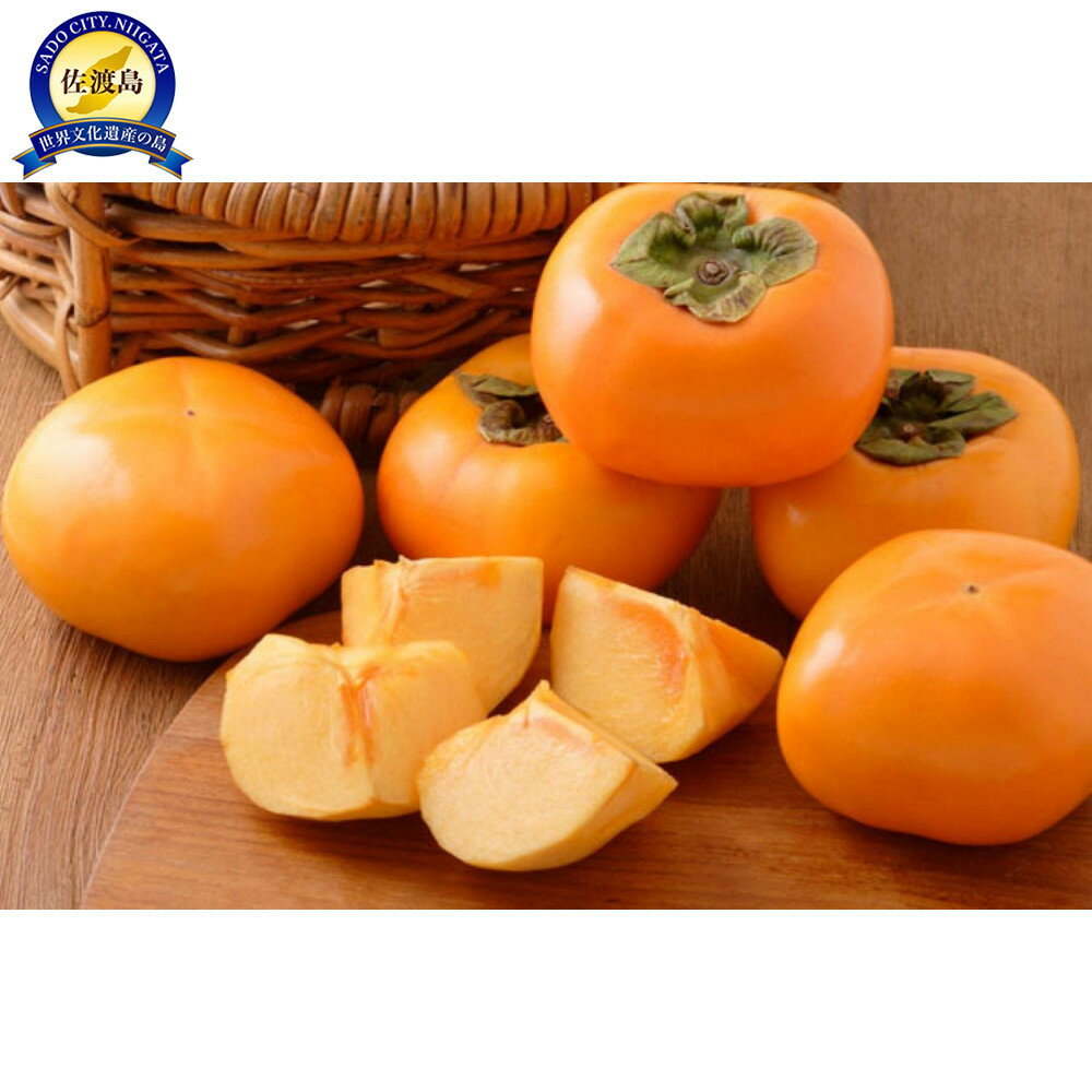 ڤդ뤵Ǽǡۡͽۡڤ路ۿ㺴ϻ5kg | ե롼 ʪ   ͵  ̵