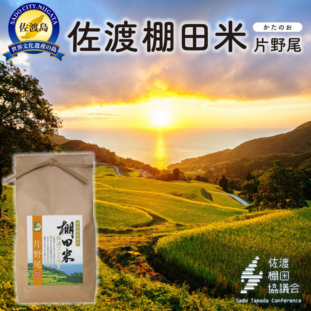 ڤդ뤵Ǽǡۺ绺ê ̤ 4Kg2Kg2ޡˡ7ǯ