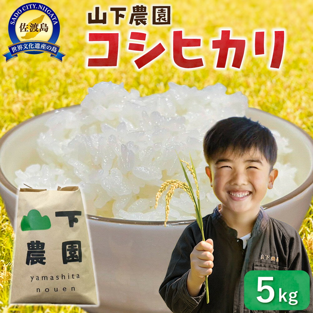 山下農園 令和7年産 佐渡産コシヒカリ5kg