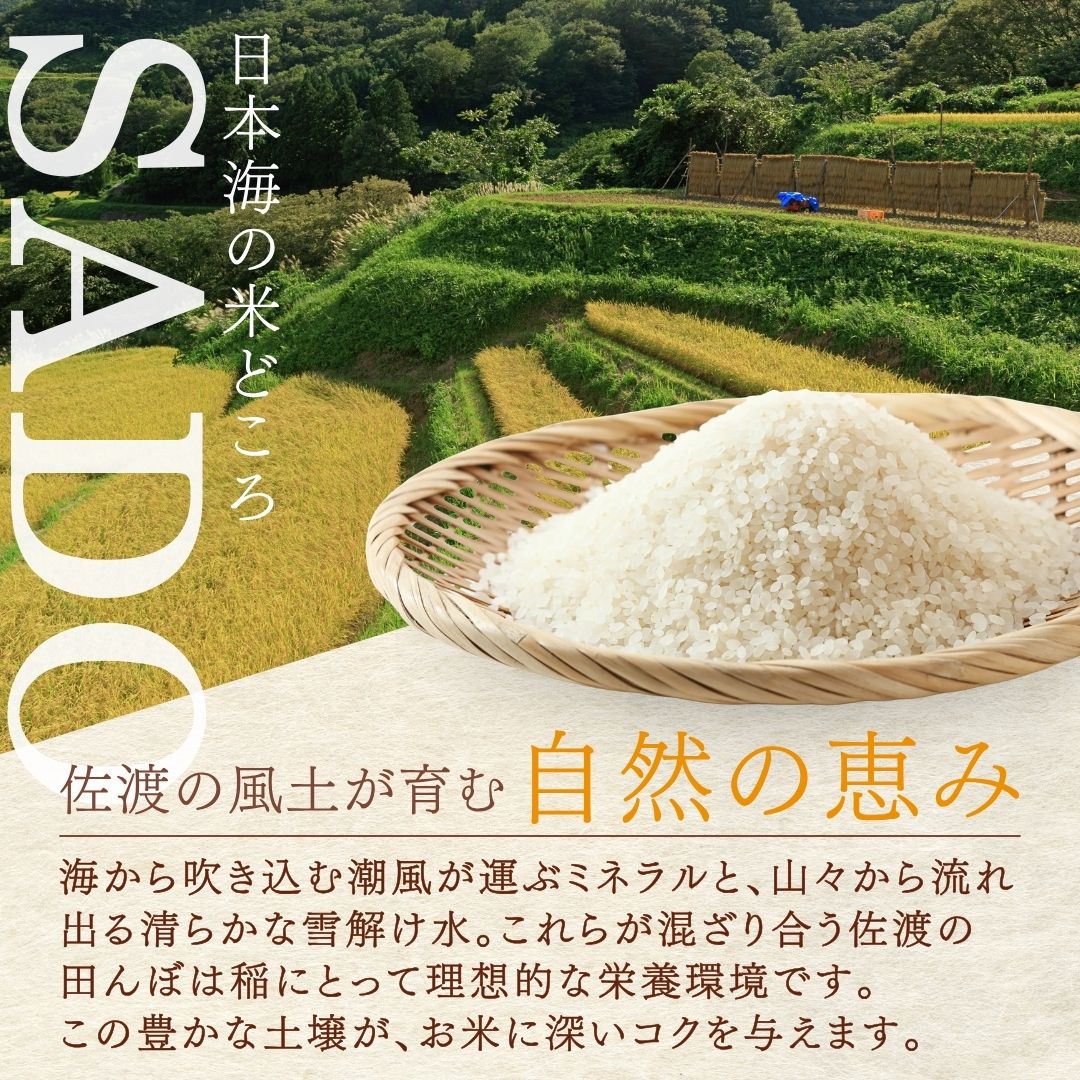 【ふるさと納税】【令和7年産】だるま庵農園の自然栽培虹のきらめき玄米10キロ【20...