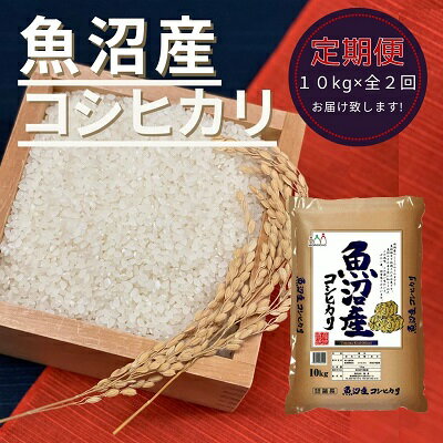 日本製 ふるさと納税 魚沼産コシヒカリ 10kg 2ヶ月連続お届け 定期便 お米 コシヒカリ お米 保証書付 Mojahercegovina Com 日本製 ふるさと納税 魚沼産コシヒカリ 10kg 2ヶ月連続お届け 定期便 お米 コシヒカリ お米 保証書付 Mojahercegovina Com