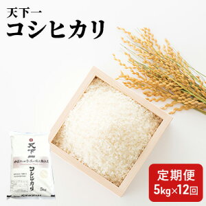 【ふるさと納税】定期便 【魚沼産】 天下一コシヒカリ 5kg 全12回 【定期便・お米・コシヒカリ】