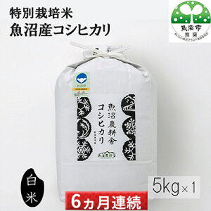 【ふるさと納税】特別栽培米魚沼農耕舎コシヒカリ(精米)5kg 6ヶ月連続お届け 【定期便・お米・コシヒカリ】