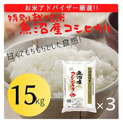 【ふるさと納税】【令和3年産】『お米アドバイザー厳選！』魚沼産コシヒカリ　特別栽培米　精米15kg（5kg×3袋）　【お米・コシヒカリ】