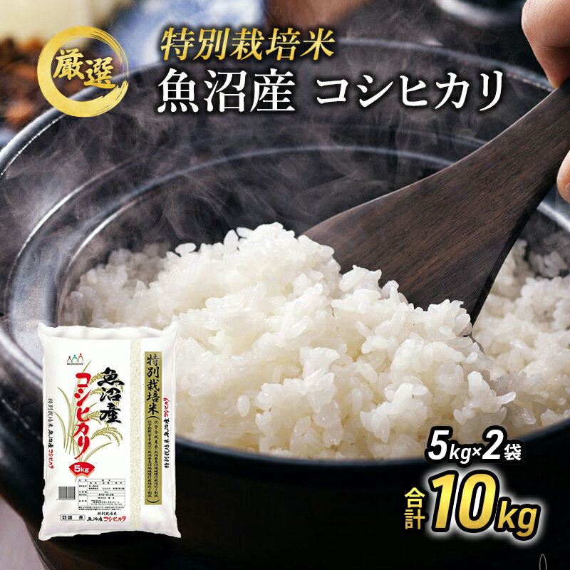 令和5年産 特別栽培米 お米アドバイザー厳選 魚沼産 コシヒカリ 精米 10kg ( 5kg × 2袋 )（ 米 こしひかり 特別栽培 お米 魚沼産コシヒカリ こめ コメ 新潟 魚沼 魚沼産こしひかり おこめ 白米 ）　【お米・コシヒカリ】