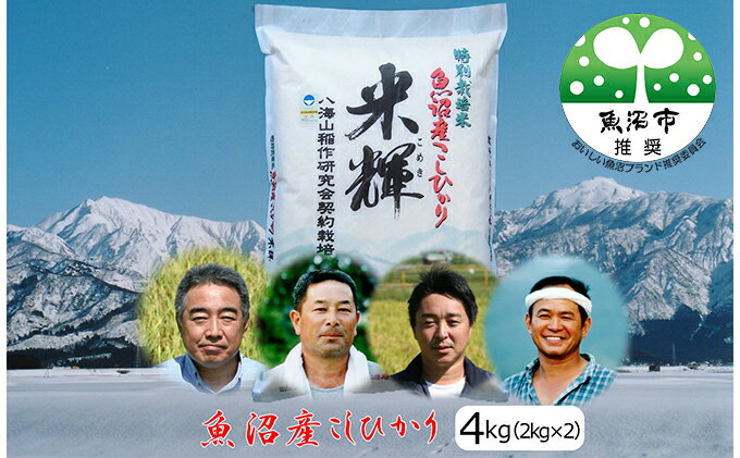 【ふるさと納税】[令和5年産]【新潟県認証・特別栽培米】魚沼産こしひかり(精米)4kg(2kg×2)　【お米・コシヒカリ】 2