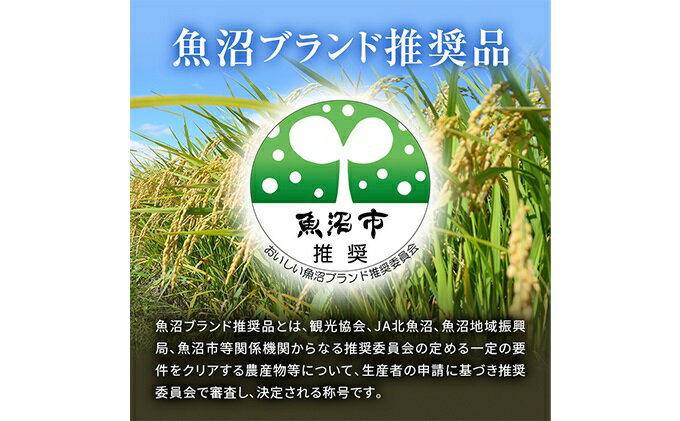 【ふるさと納税】[令和5年産]【新潟県認証・特別栽培米】魚沼産こしひかり(精米)4kg(2kg×2)　【お米・コシヒカリ】 3