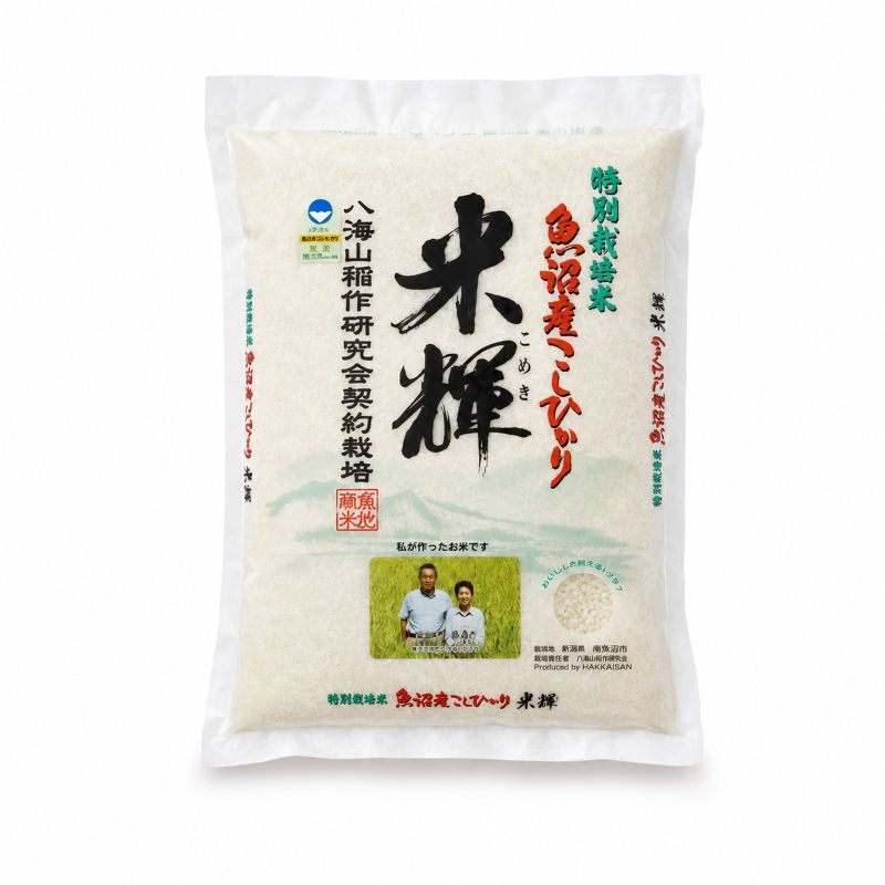 サンプル画像3