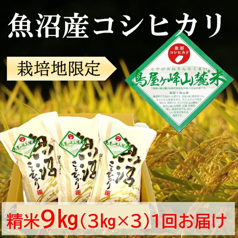 【ふるさと納税】令和7年産 魚沼コシヒカリ 鳥屋ヶ峰山麓米(精米)9kg(3kg×3) お米 　お届け：寄附入金確認後、約2週間～1ヶ月ほどでお届け