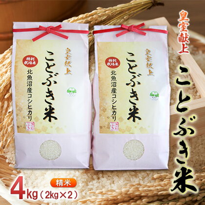 [令和5年産]皇室献上　ことぶき米（精米）4kg（2kg×2）　【お米】　お届け：発送の目安：入金確認から2週間程度