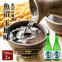 地酒 【ふるさと納税】【魚沼の地酒】 魚沼玉風味 2本 セット （ 日本酒 720ml 清酒 本醸造酒 お酒 酒 アルコール 地酒 魚沼 ）　【 魚沼市 】